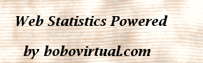 STATISTICS OF VISITS AND SUMMARY OF STATISTICS - boboraz.com