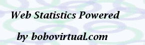 STATISTICS OF VISITS AND SUMMARY OF STATISTICS - boboraz.com