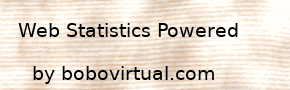 VISITS AND SUMMARY OF STATISTICS